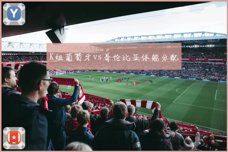 K组葡萄牙vs哥伦比亚体能分配