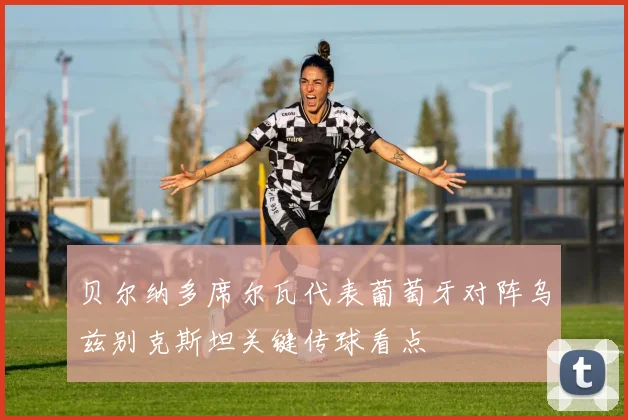 贝尔纳多席尔瓦代表葡萄牙对阵乌兹别克斯坦关键传球看点